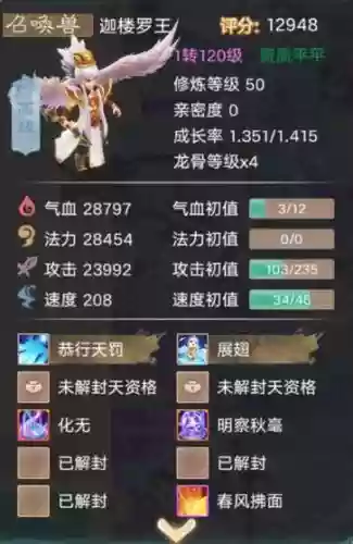 迦楼罗王带什么技能书，迦楼罗王加点插图1