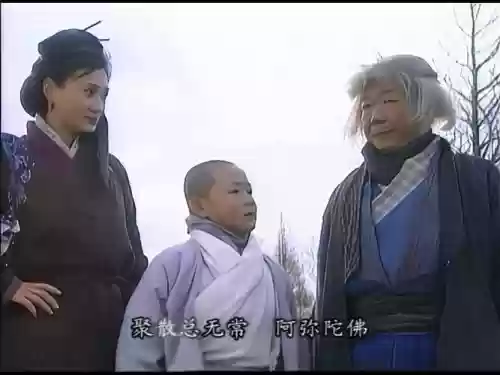 侠女闯天下演员阵容搭配，侠女闯天关剧情简介插图
