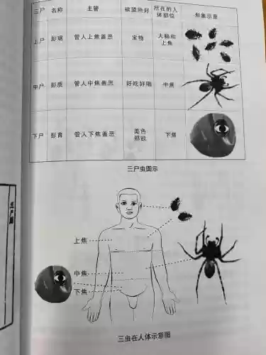 男鬼三尸虫高回血装备，男鬼三尸虫装备搭配插图1