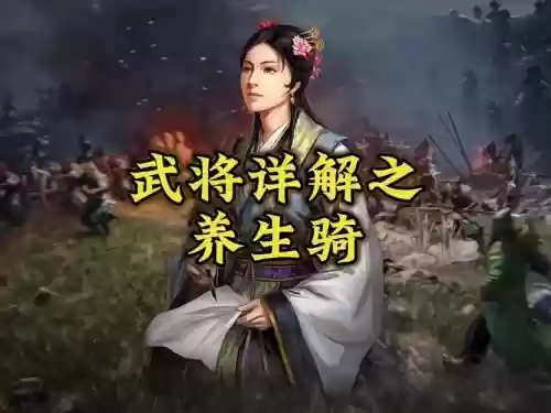 蔡文姬阵容搭配，蔡文姬搭配什么阵容插图