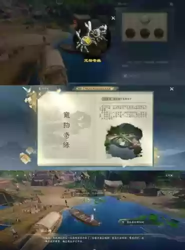 胜负宠物攻略，胜负蟹攻略插图