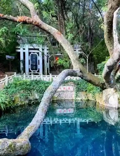 梦幻西游云南区，梦幻西游云南区蝴蝶泉怎么样插图1