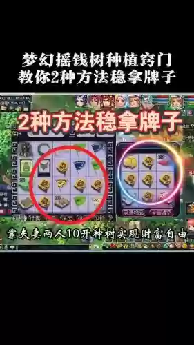 梦幻西游摇钱树苗能种几棵，梦幻西游摇钱树苗怎么种出好东西插图1