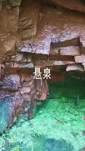 梦幻西游里的无根之水，梦幻西游里的无根之水在哪里插图