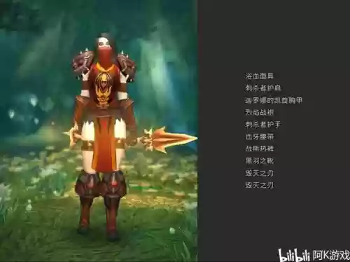 wow盗贼武器幻化大全，tbc盗贼幻化插图1