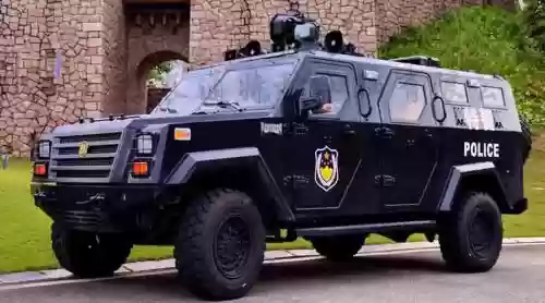 黑豹武器运输车，黑豹的战车插图1