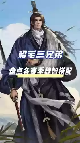 魏智阵容搭配，魏智打什么队伍插图1