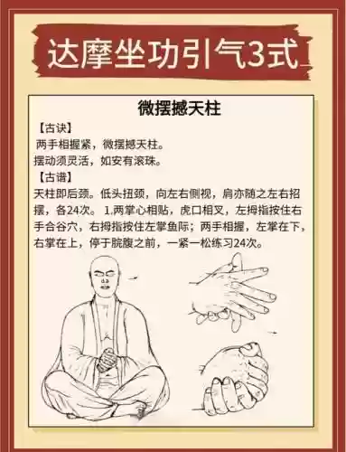 达摩搭配技能，达摩搭配技能怎么点